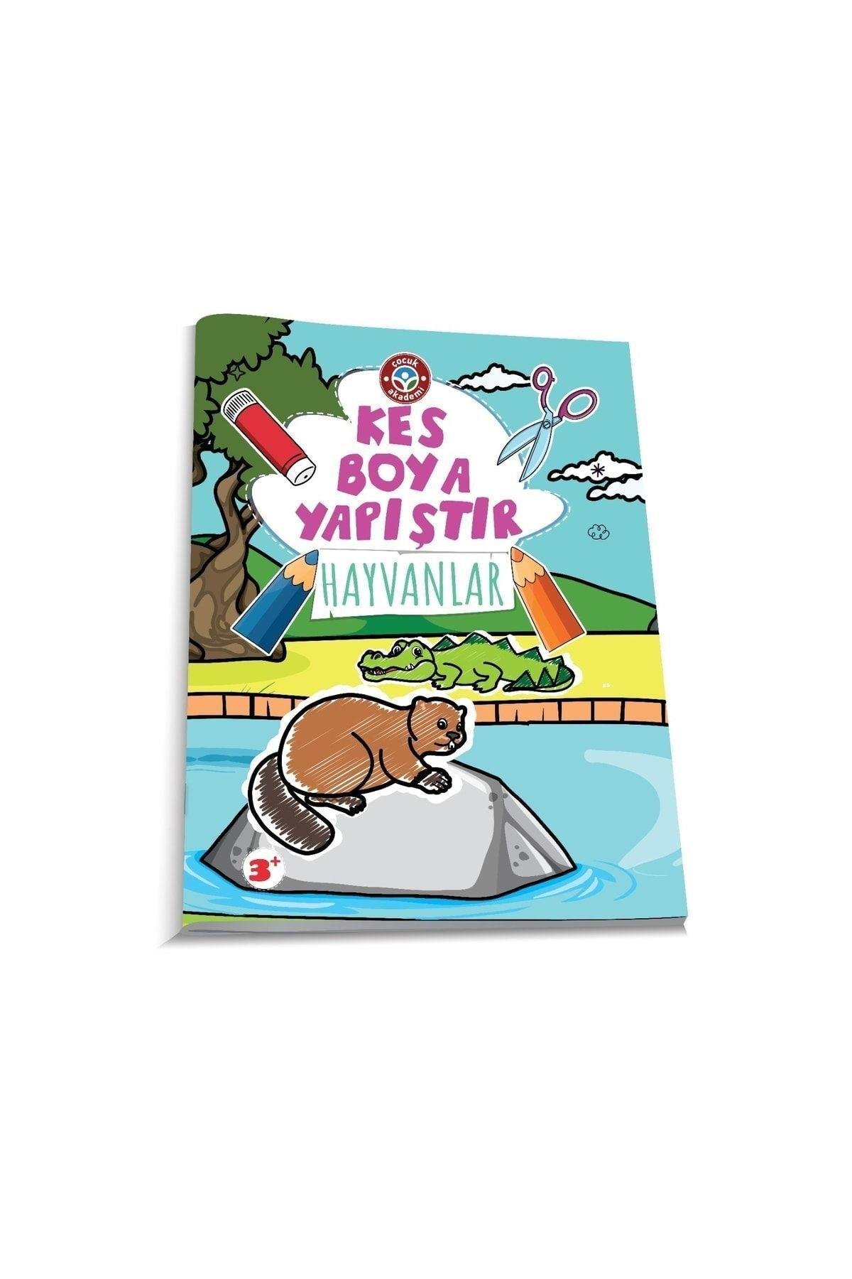 Kes Boya Yapıştır Hepsi Bir Arada Paketi