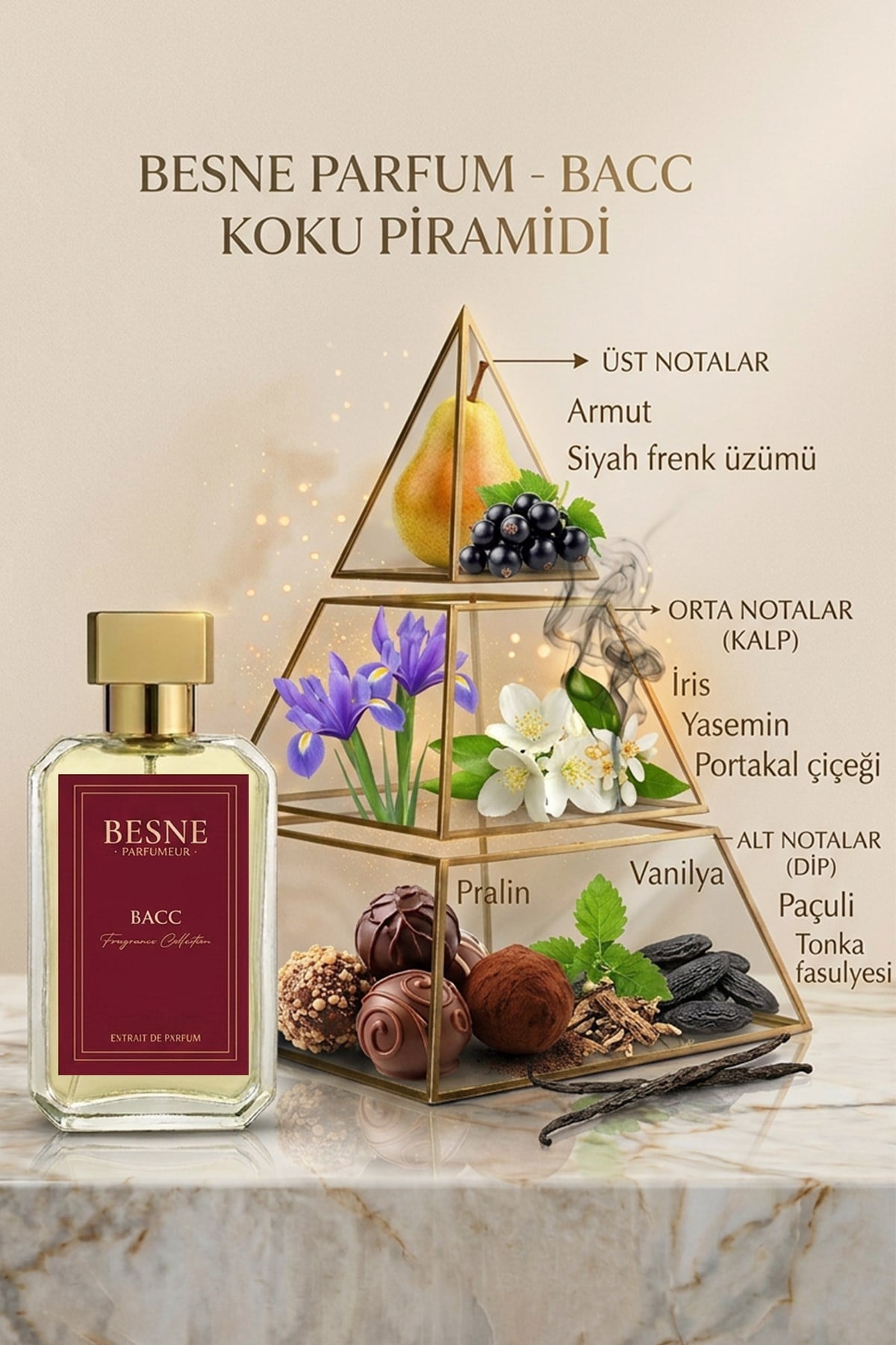 ÇİKOLATA PARFUM BACC