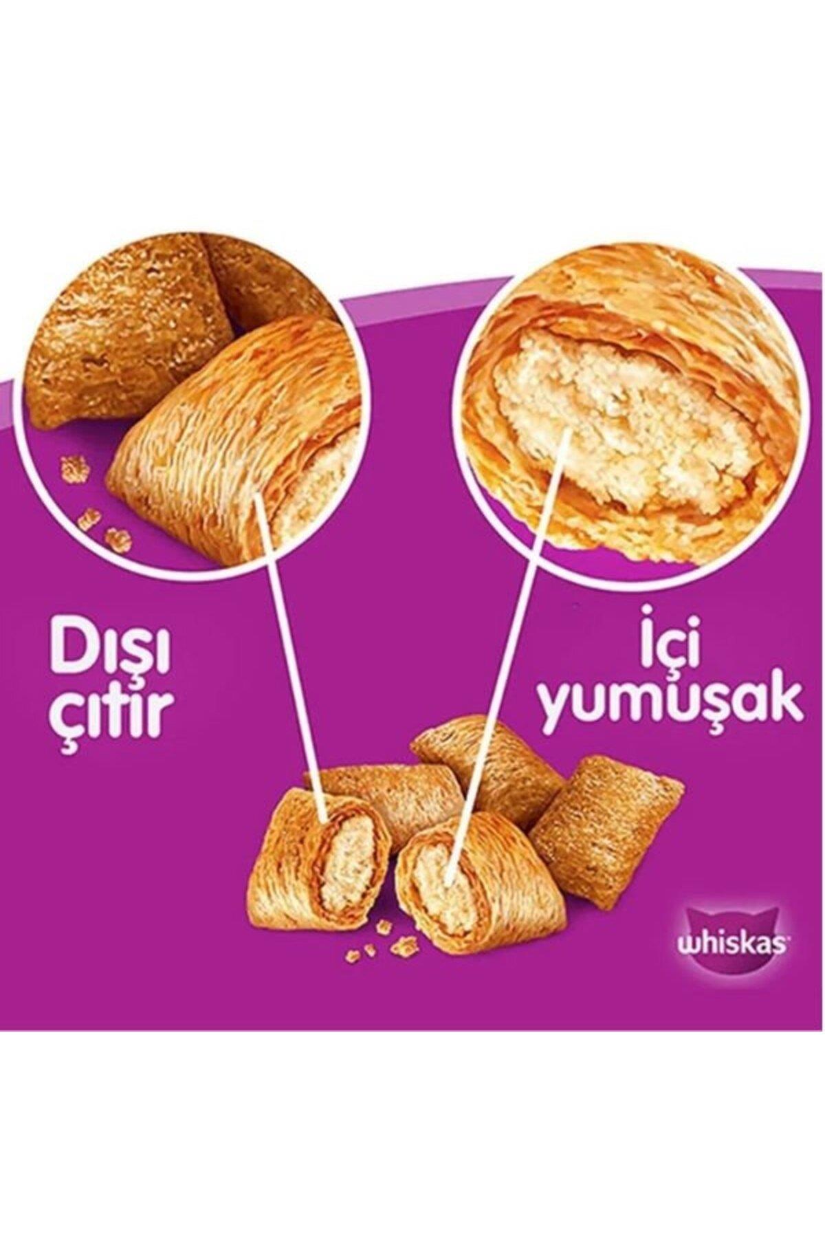 Tavuklu ve Sebzeli Yetişkin Kedi Maması 300 Gr