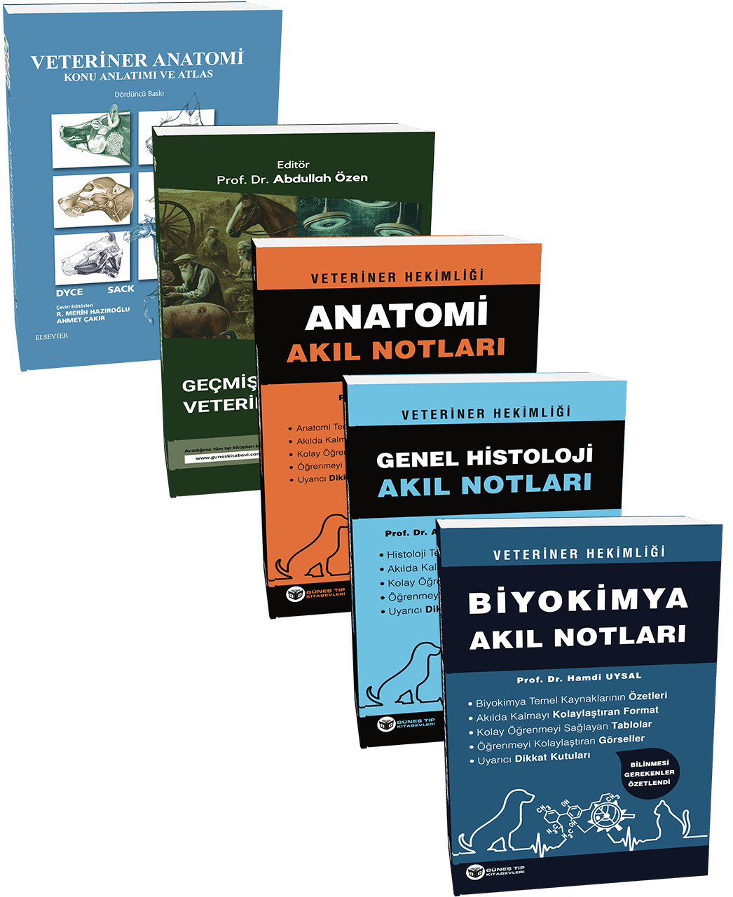 1. Sınıflar İçin Veterinerlik Temel Dersler Seti