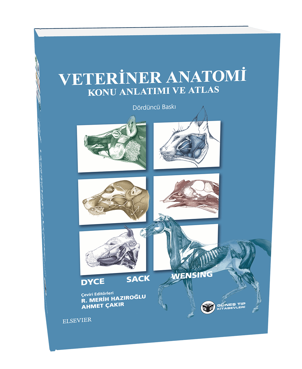 1. Sınıflar İçin Veterinerlik Temel Dersler Seti