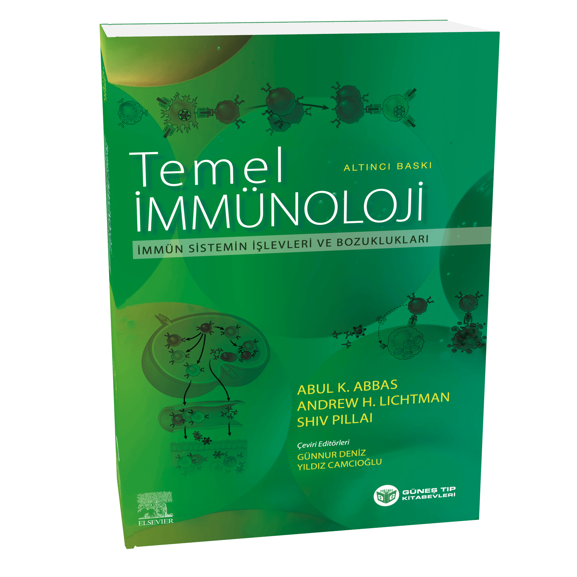 2. Sınıf Temel Bilimler İleri Seviye Seti