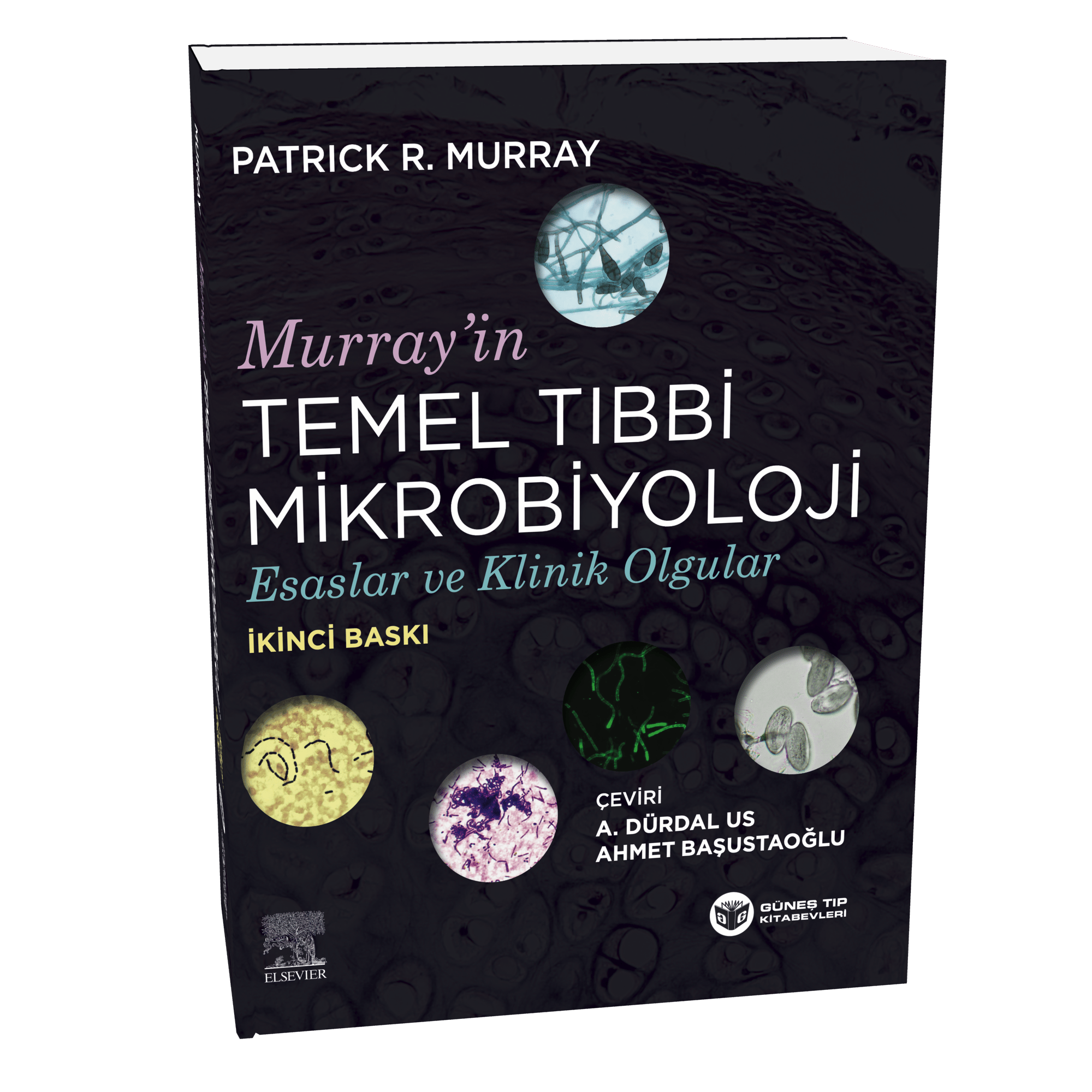 2. Sınıf Temel Bilimler İleri Seviye Seti