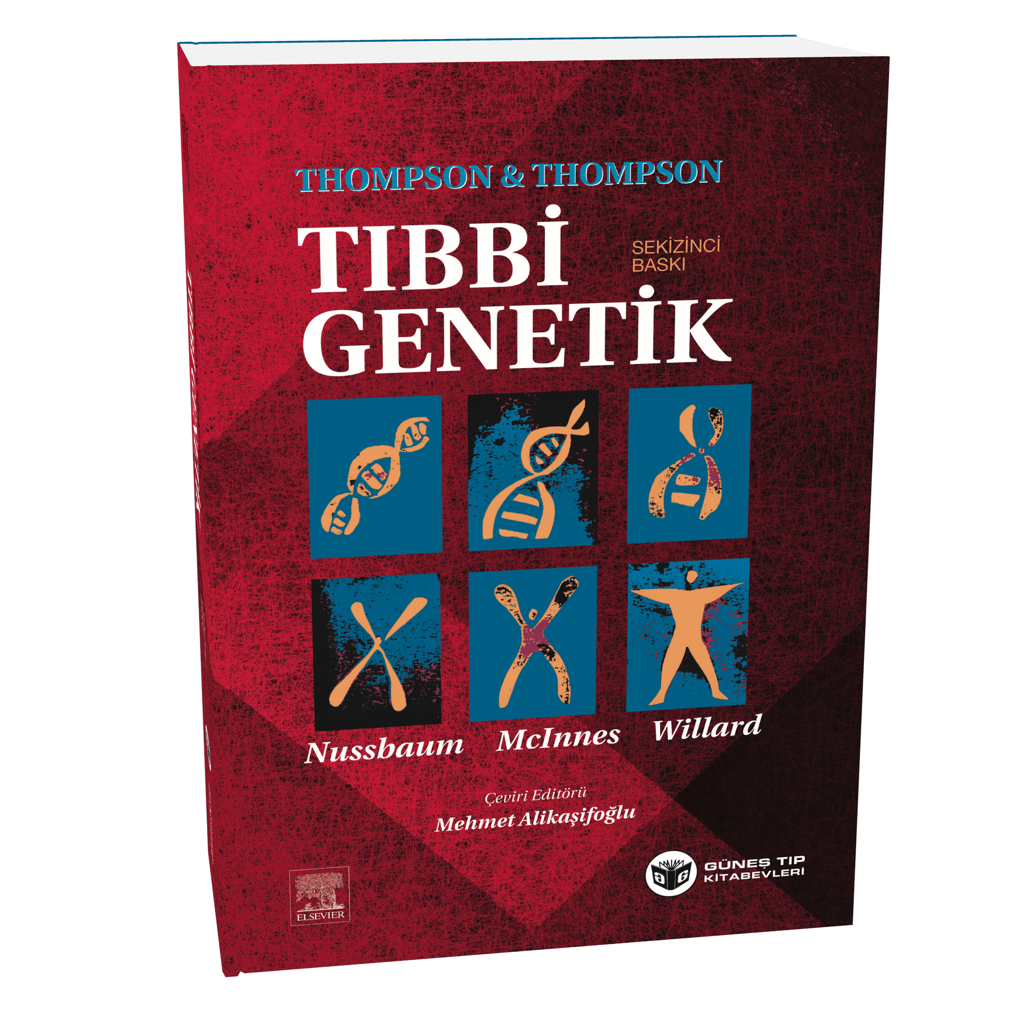 2. Sınıf Temel Bilimler İleri Seviye Seti