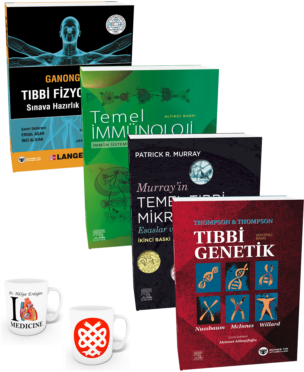 2. Sınıf Temel Bilimler İleri Seviye Seti