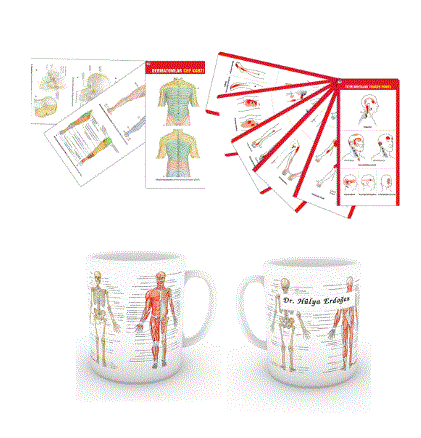 2024 - Fizik Tedavi ve Rehabilitasyon Asistan Seti (23 ÇOK SATAN BU SETTE)