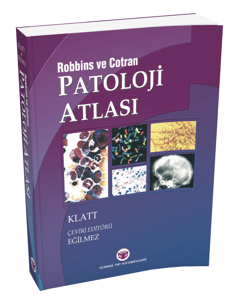 2024 - Patoloji Asistan Seti (6 ÇOK SATAN BU SETTE)