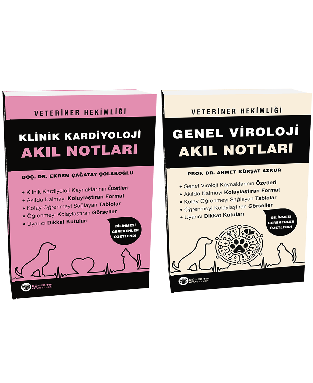 2024 - Veteriner Hekimliği Akıl Notları Seti (10 ÇOK SATAN BU SETTE)
