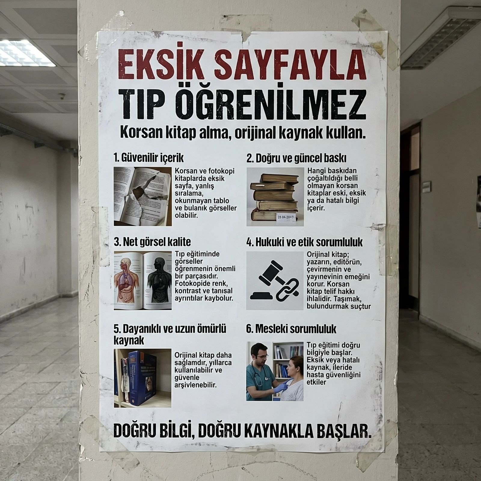 2025 - Anatomi Başlangıç Seti
