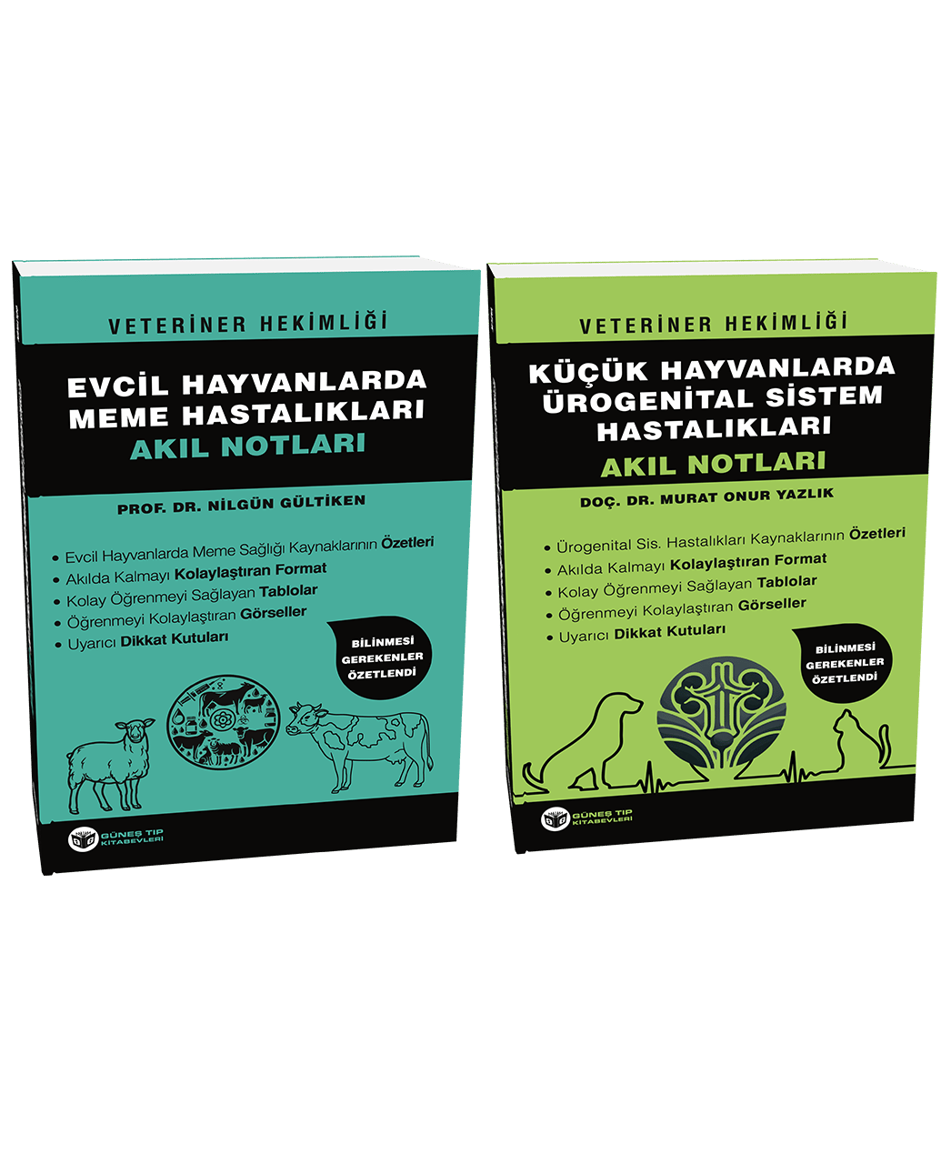 2025 - Veteriner Hekimliği Akıl Notları Seti (16 ÇOK SATAN BU SETTE)