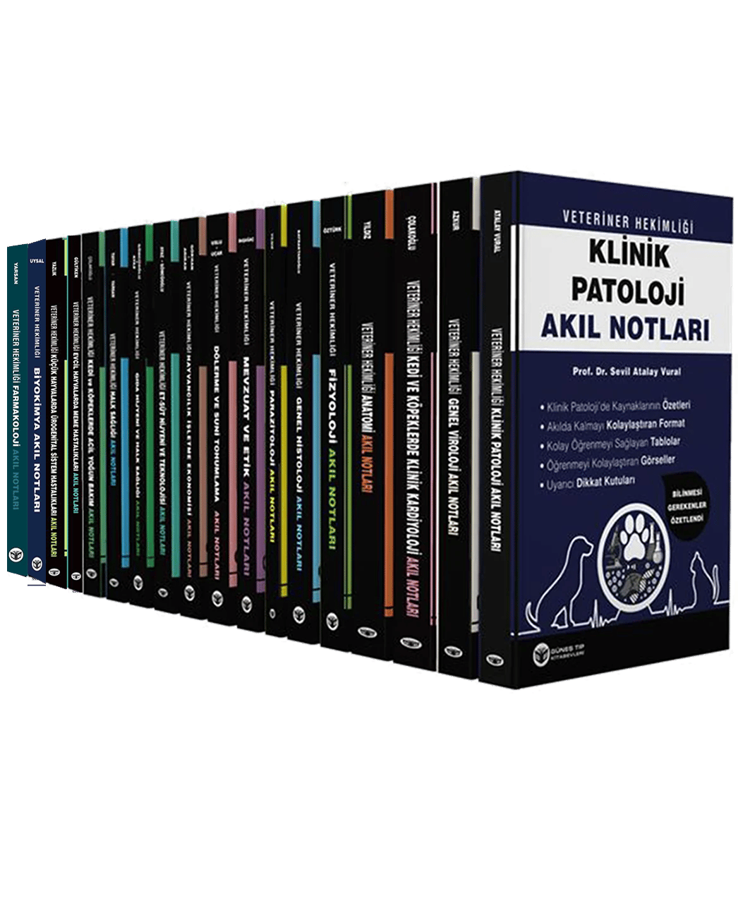 2025 - Veteriner Hekimliği Akıl Notları Seti (16 ÇOK SATAN BU SETTE)