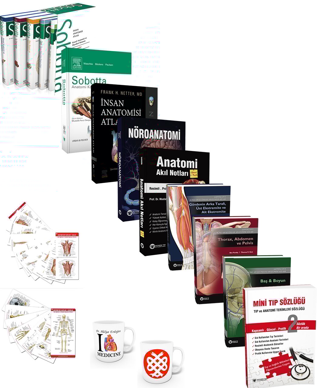 55. Yıl - Muhteşem Anatomi Seti