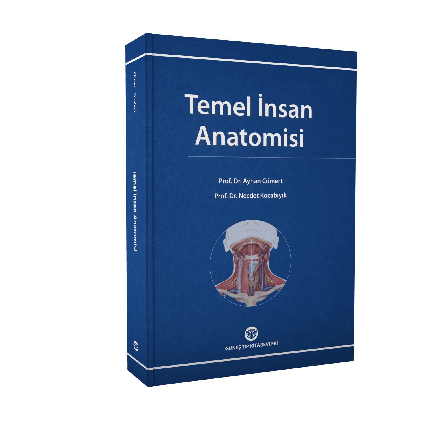 55. Yıl - Muhteşem Fizyoterapist Seti (11 ÇOK SATAN BU SETTE)