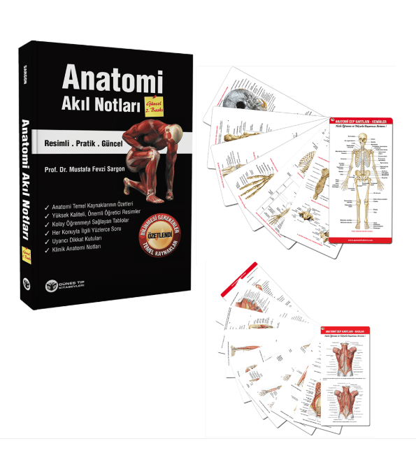 55. Yıl - Muhteşem Anatomi Seti