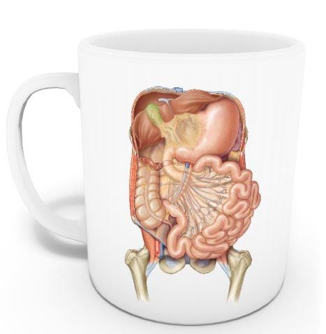 Abdomen Kupası (İsme Özel)