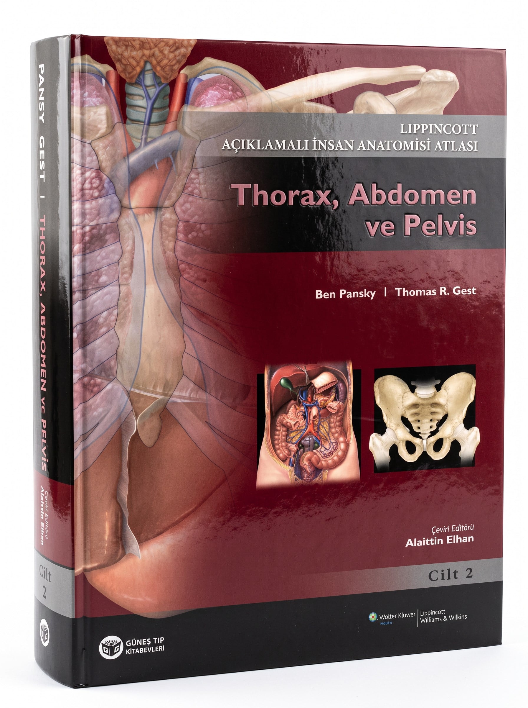 Açıklamalı İnsan Anatomisi Atlası-2