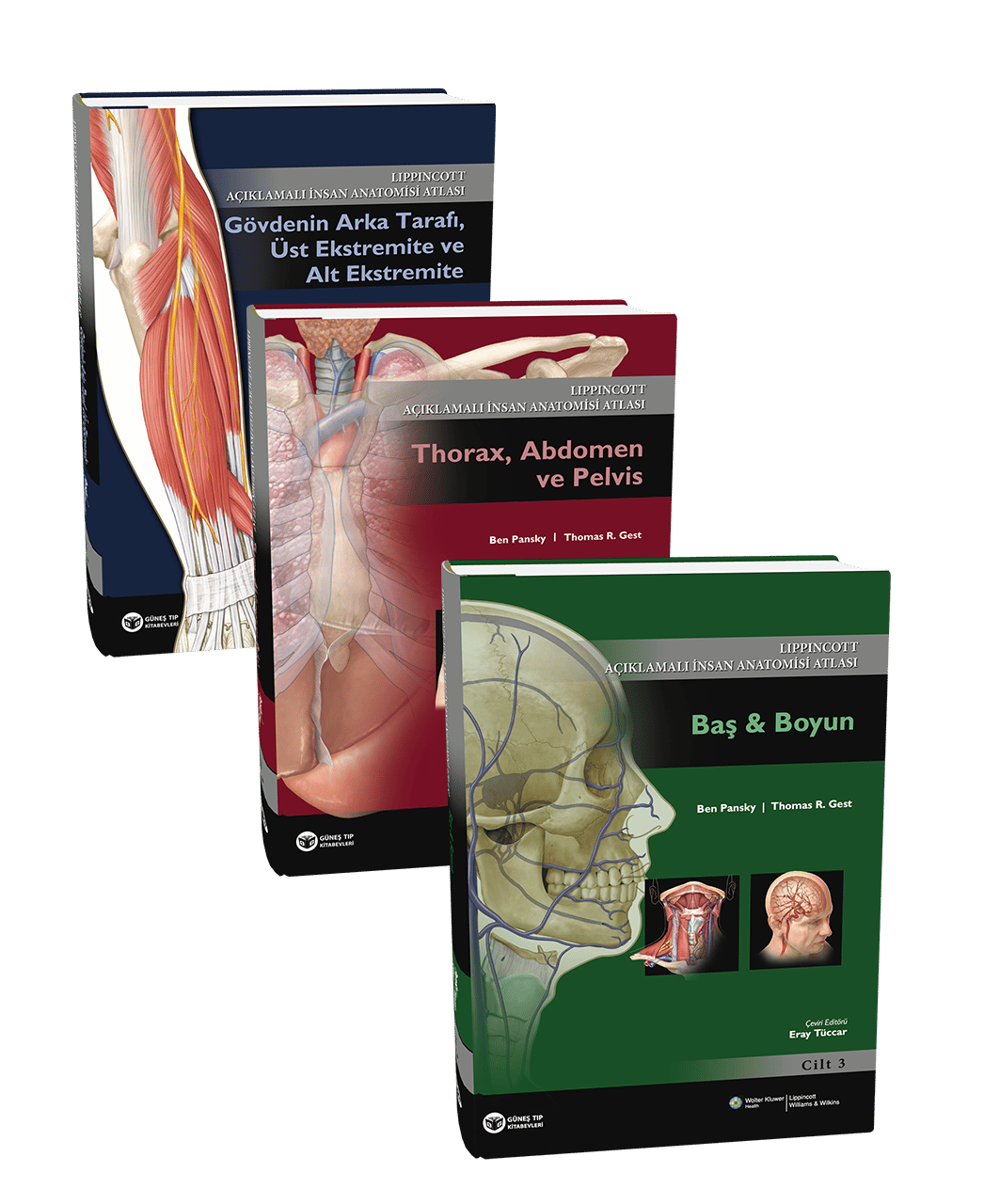 Açıklamalı İnsan Anatomisi Atlası 3 CİLT