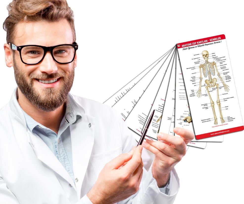 Anatomi Cep Kartları - Kemikler