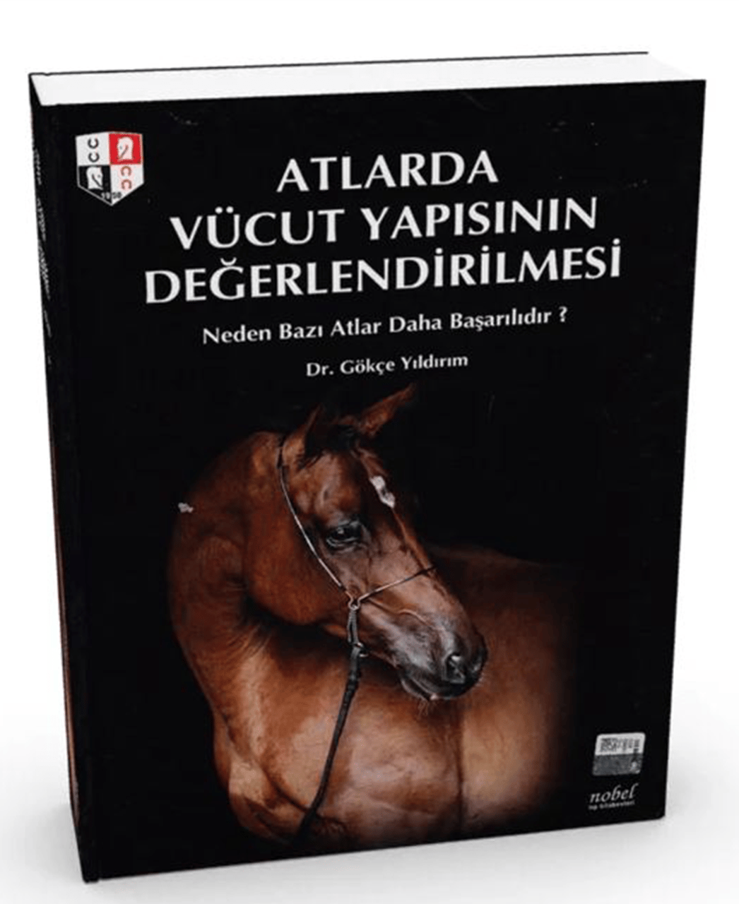 Atlarda Vücut Yapısının Değerlendirilmesi Neden Bazı Atlar Daha Başarılıdır?
