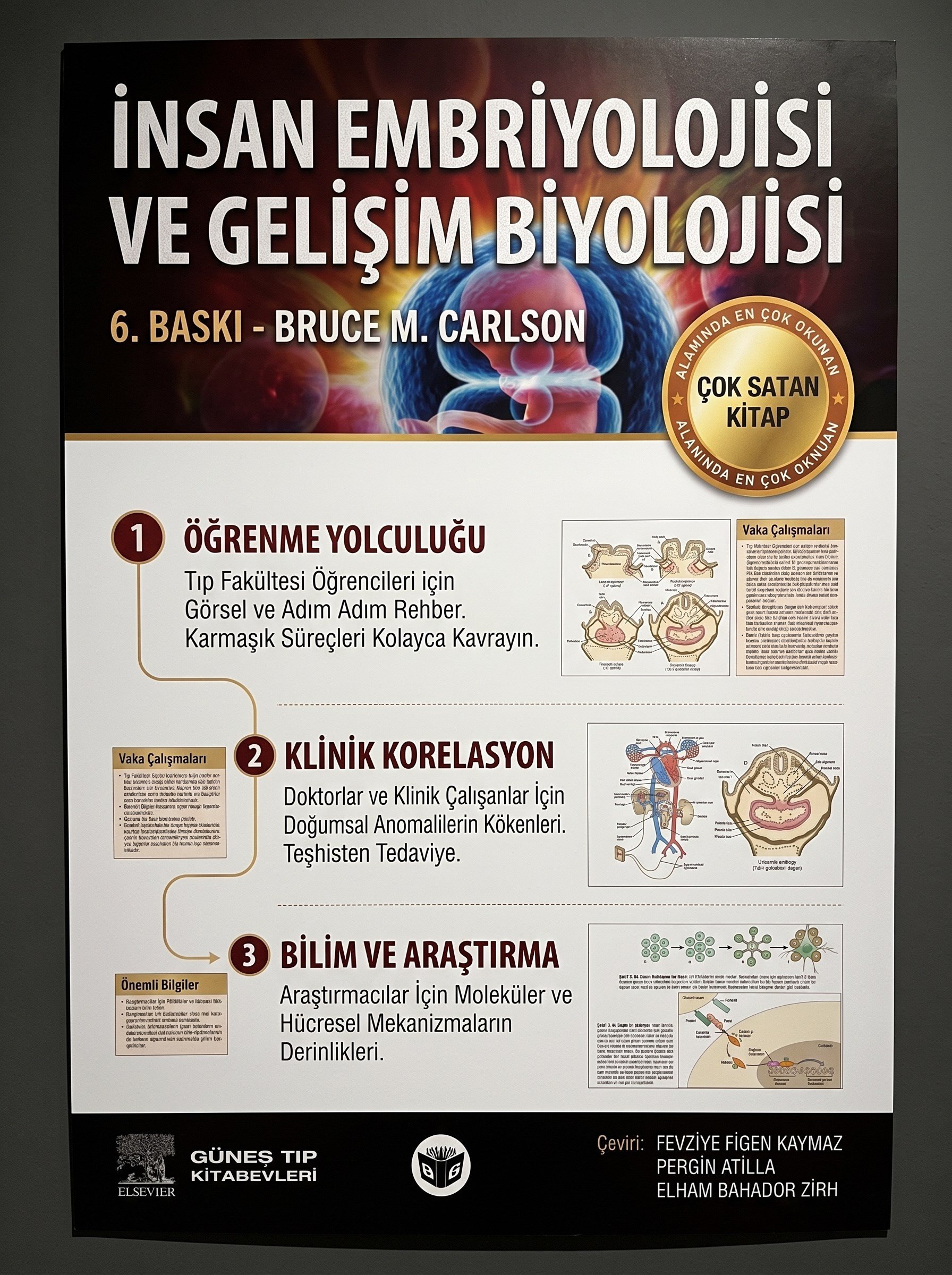 Carlson: İnsan Embriyolojisi ve Gelişim Biyolojisi