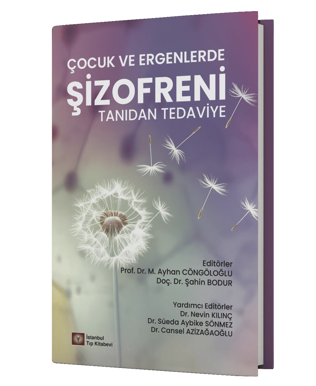 Çocuk ve Ergenlerde Şizofreni Tanıdan Tedaviye