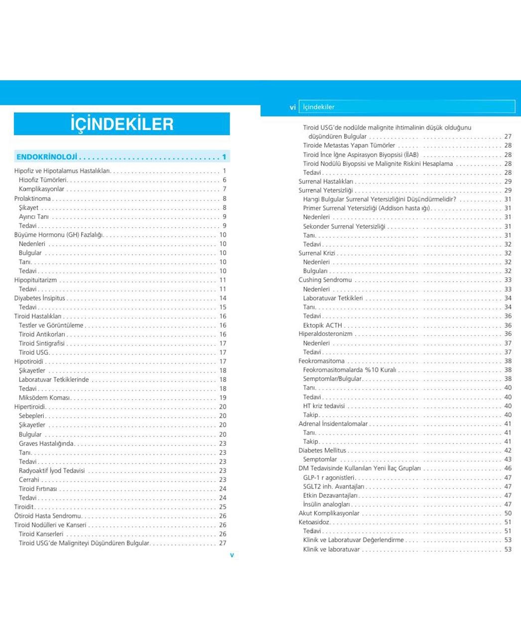 Dahiliye Akıl Notları Güncel 2. Baskı (DAHİLYENİN EN ÇOK OKUNANI)