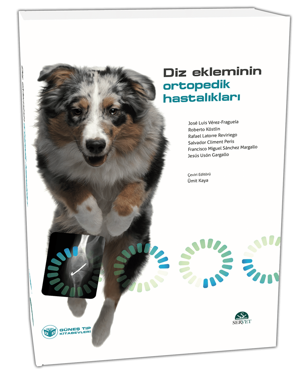 Diz Ekleminin Ortopedik Hastalıkları