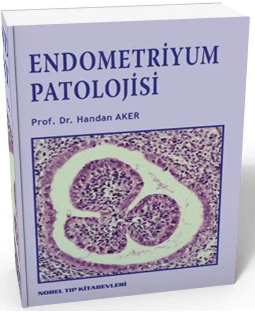 Endometriyum Patolojisi