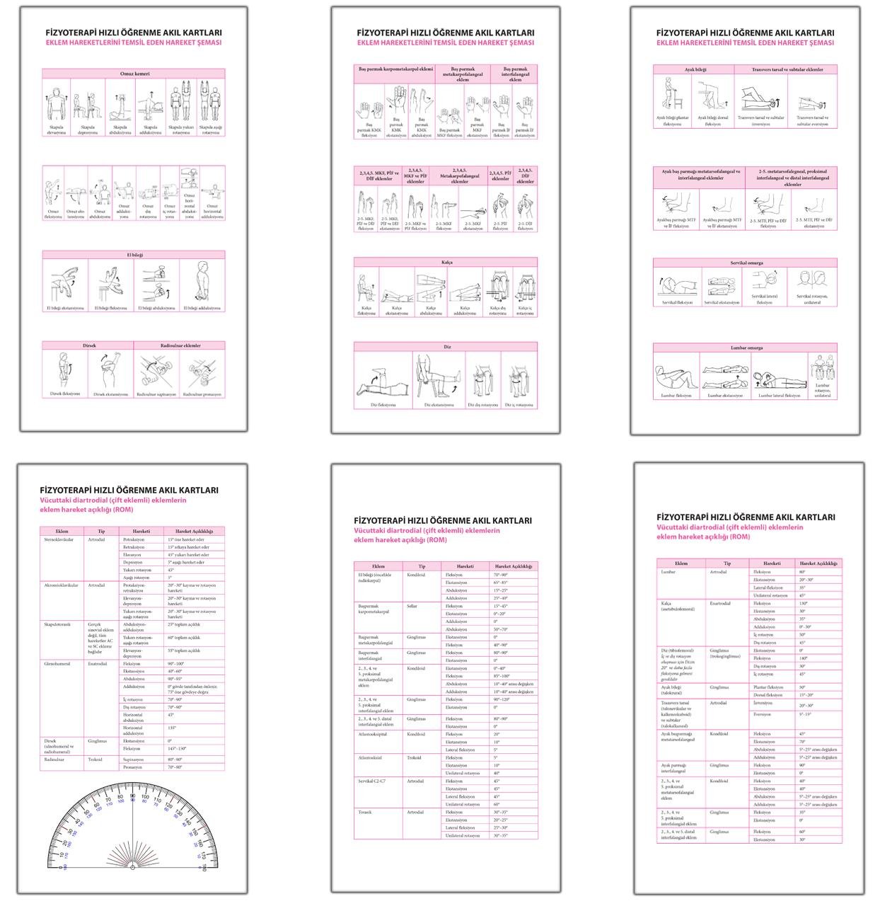 Fizyoterapi Hızlı Öğrenme Akıl Kartları
