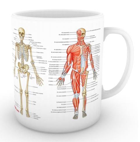 Fizyoterapist Kupası (İsme Özel)