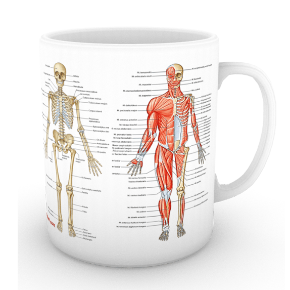 FTR'nin Muhteşem İkilisi (2 ÇOK SATAN BU SETTE)