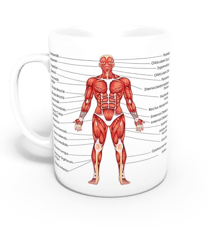 I Love Fizyoterapist Kupası (İsme Özel)