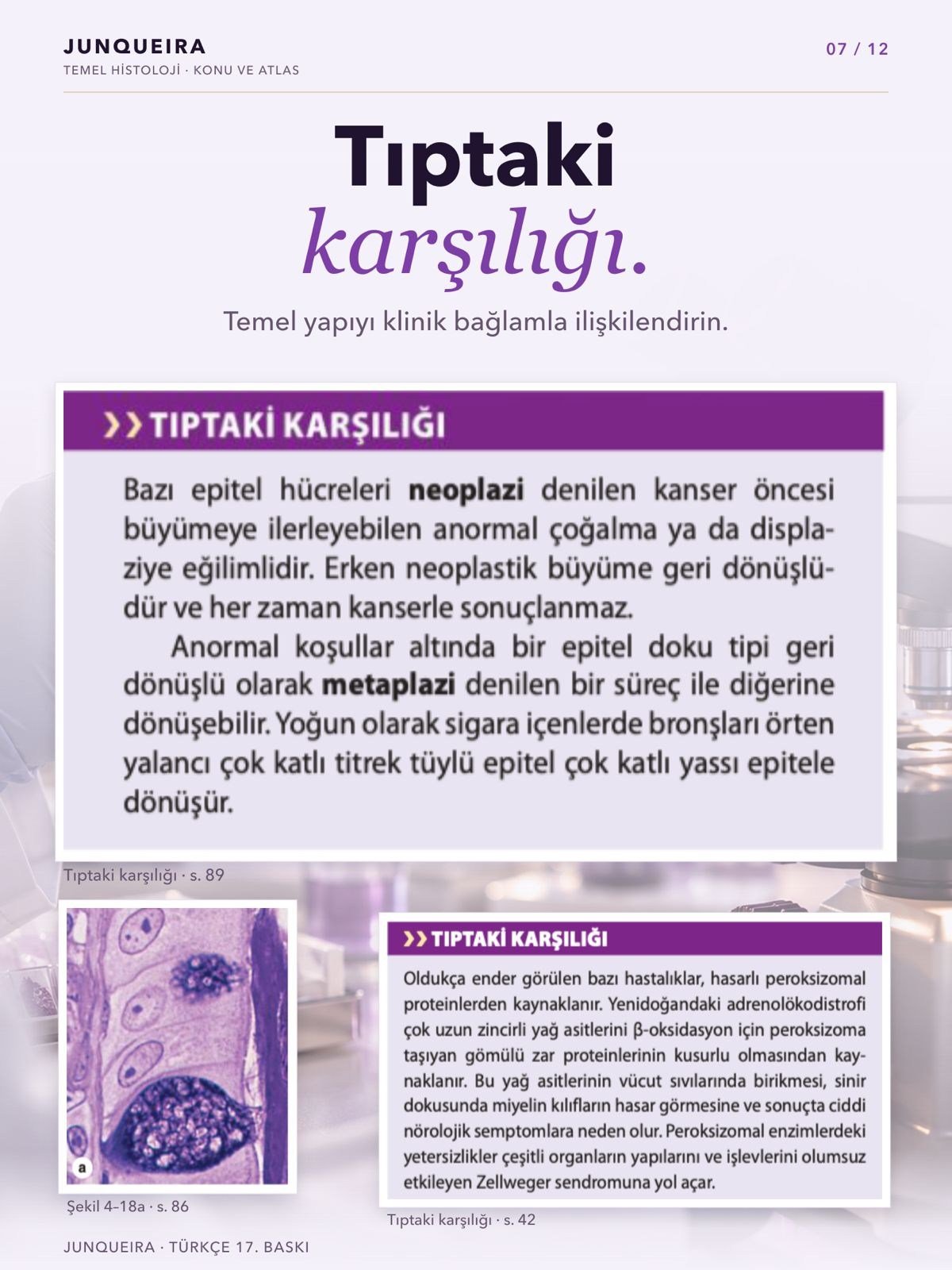 Junqueira Temel Histoloji Konu ve Atlas 17. Baskı