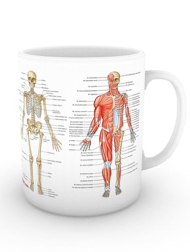 Kas ve İskelet Kupası (İsme Özel)