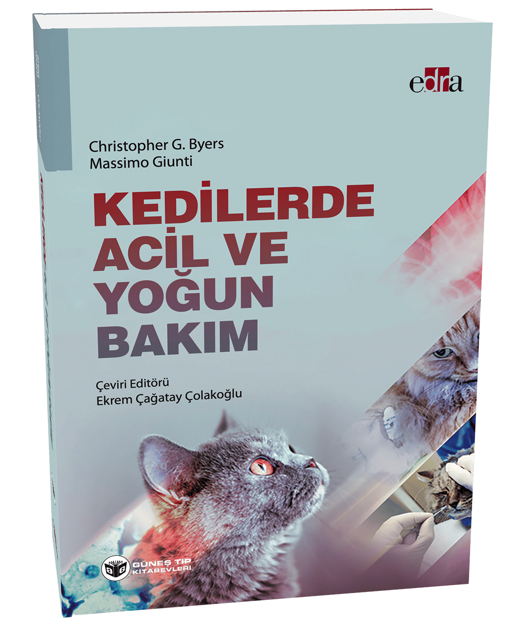 Kedilerde Acil ve Yoğun Bakım