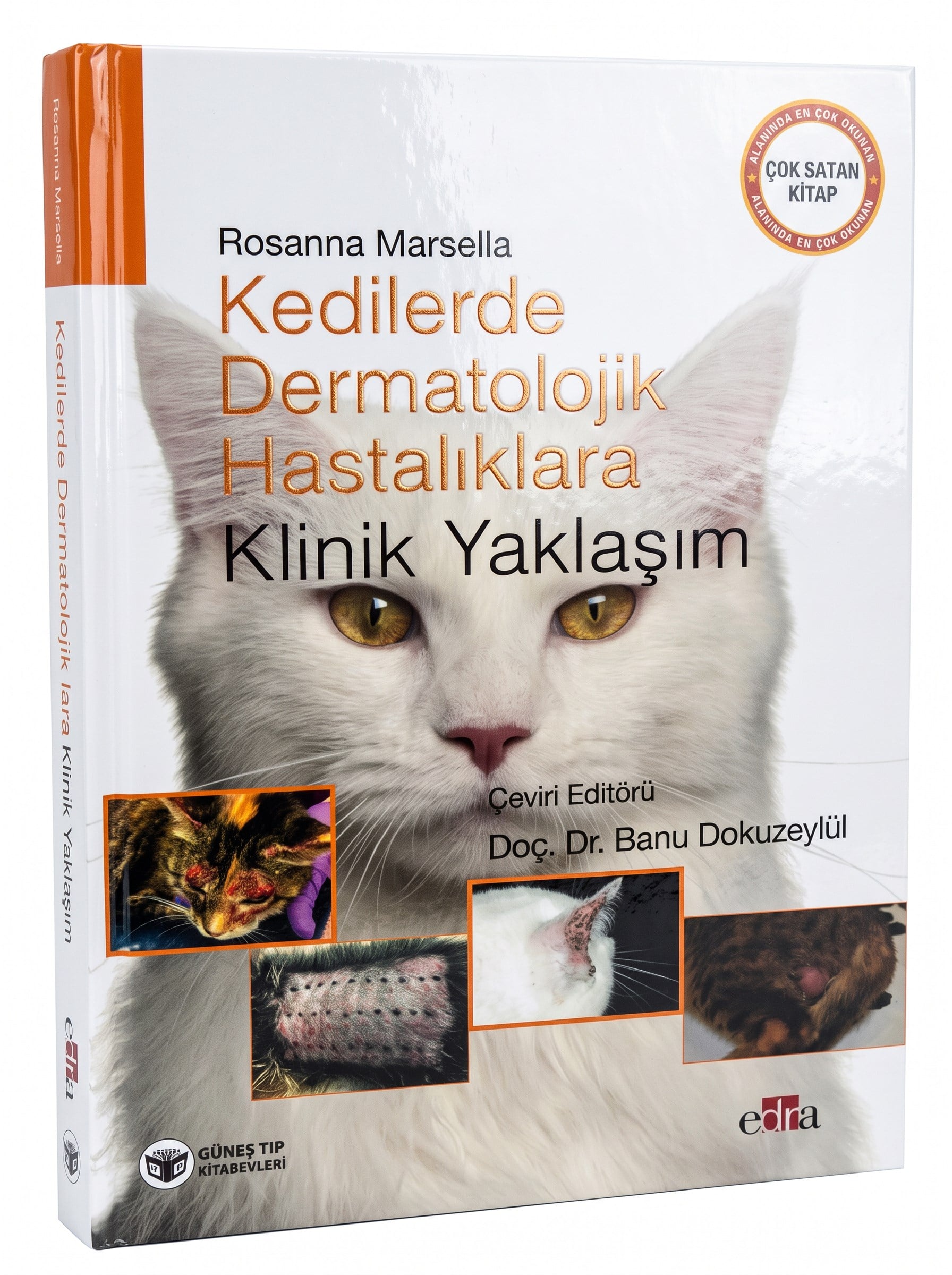Kedilerde Dermatolojik Hastalıklara Klinik Yaklaşım