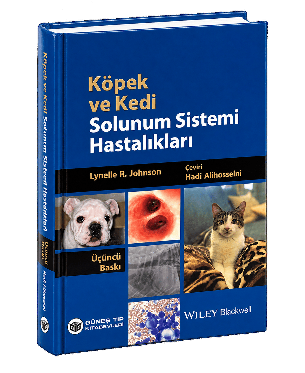 Köpek ve Kedi Solunum Sistemi Hastalıkları 