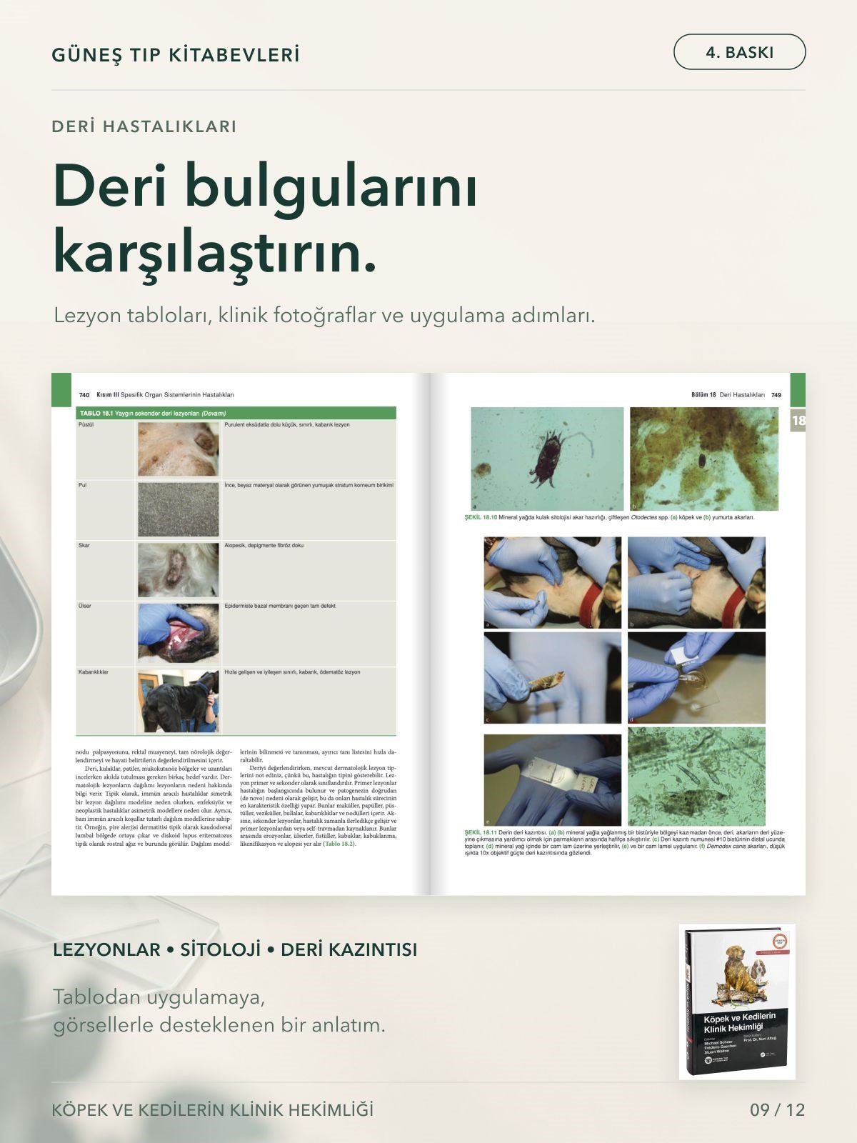 Köpek ve Kedilerin Klinik Hekimliği