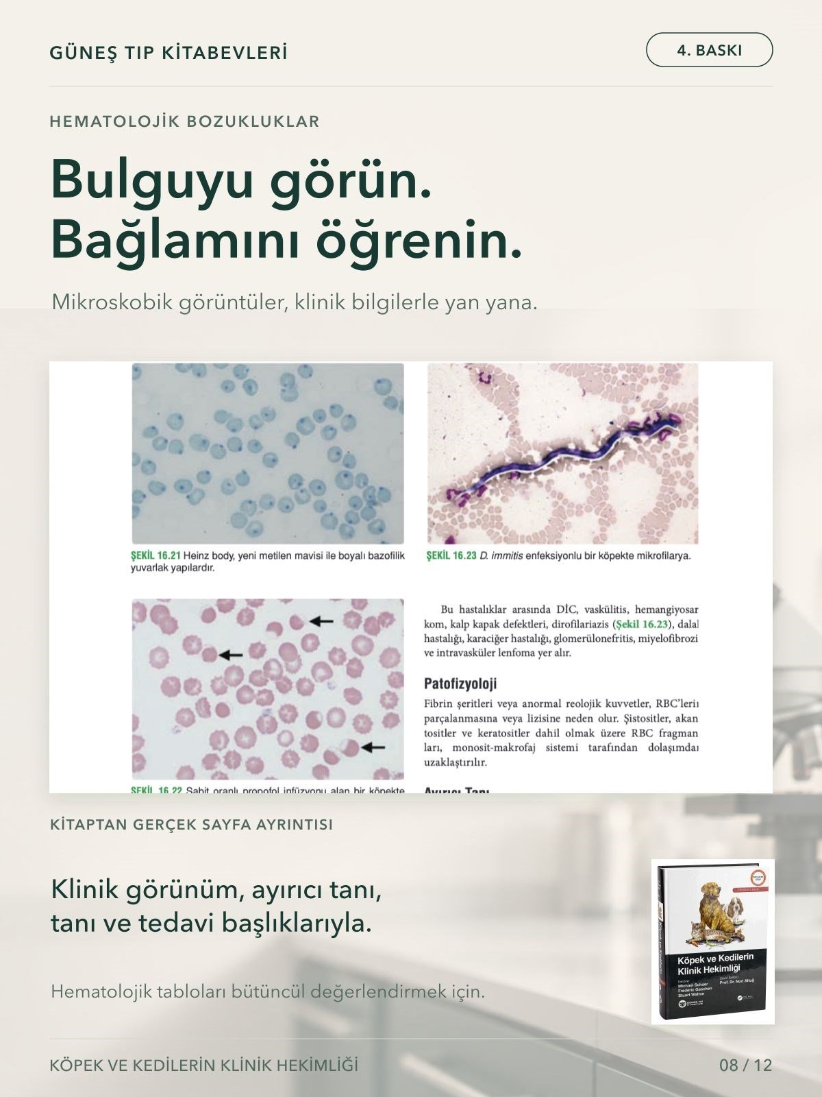 Köpek ve Kedilerin Klinik Hekimliği