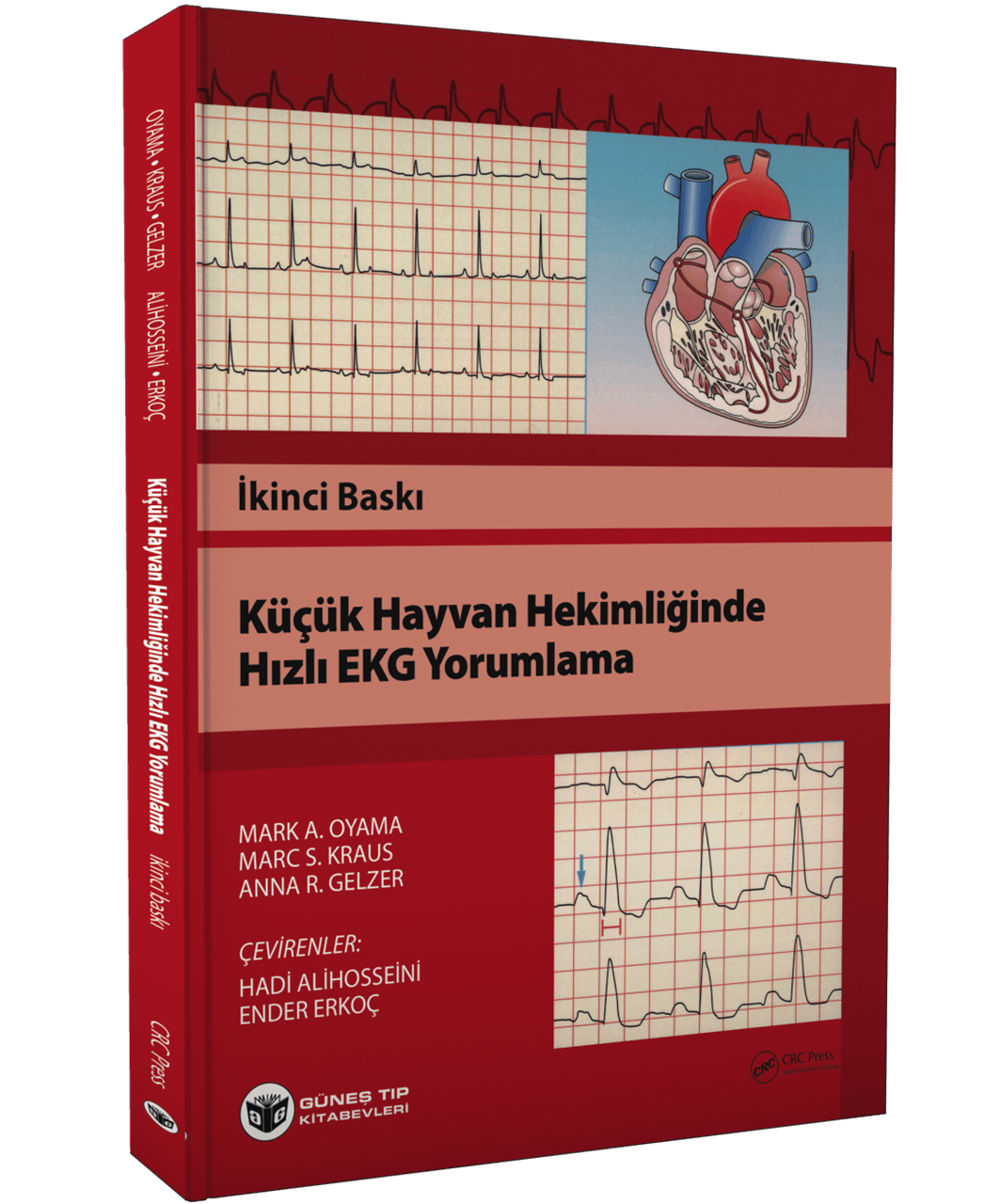 Küçük Hayvan Hekimliği Rehberleri Seti