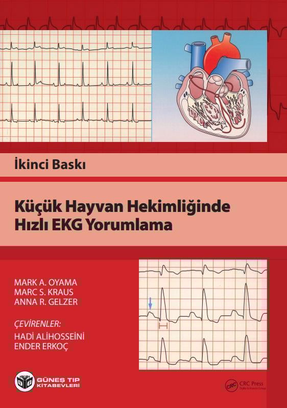 Küçük Hayvan Hekimliğinde Hızlı EKG Yorumlama