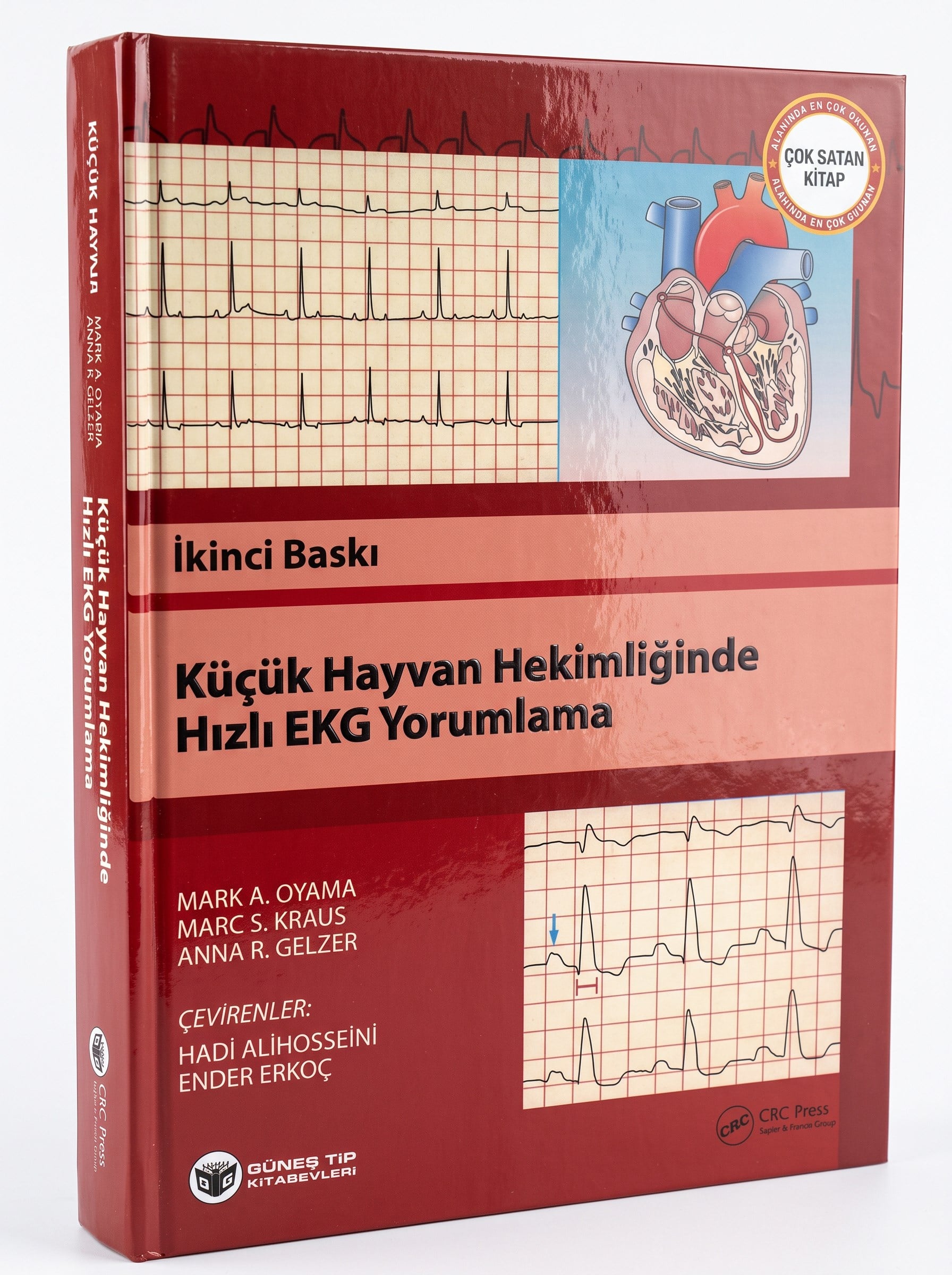 Küçük Hayvan Hekimliğinde Hızlı EKG Yorumlama