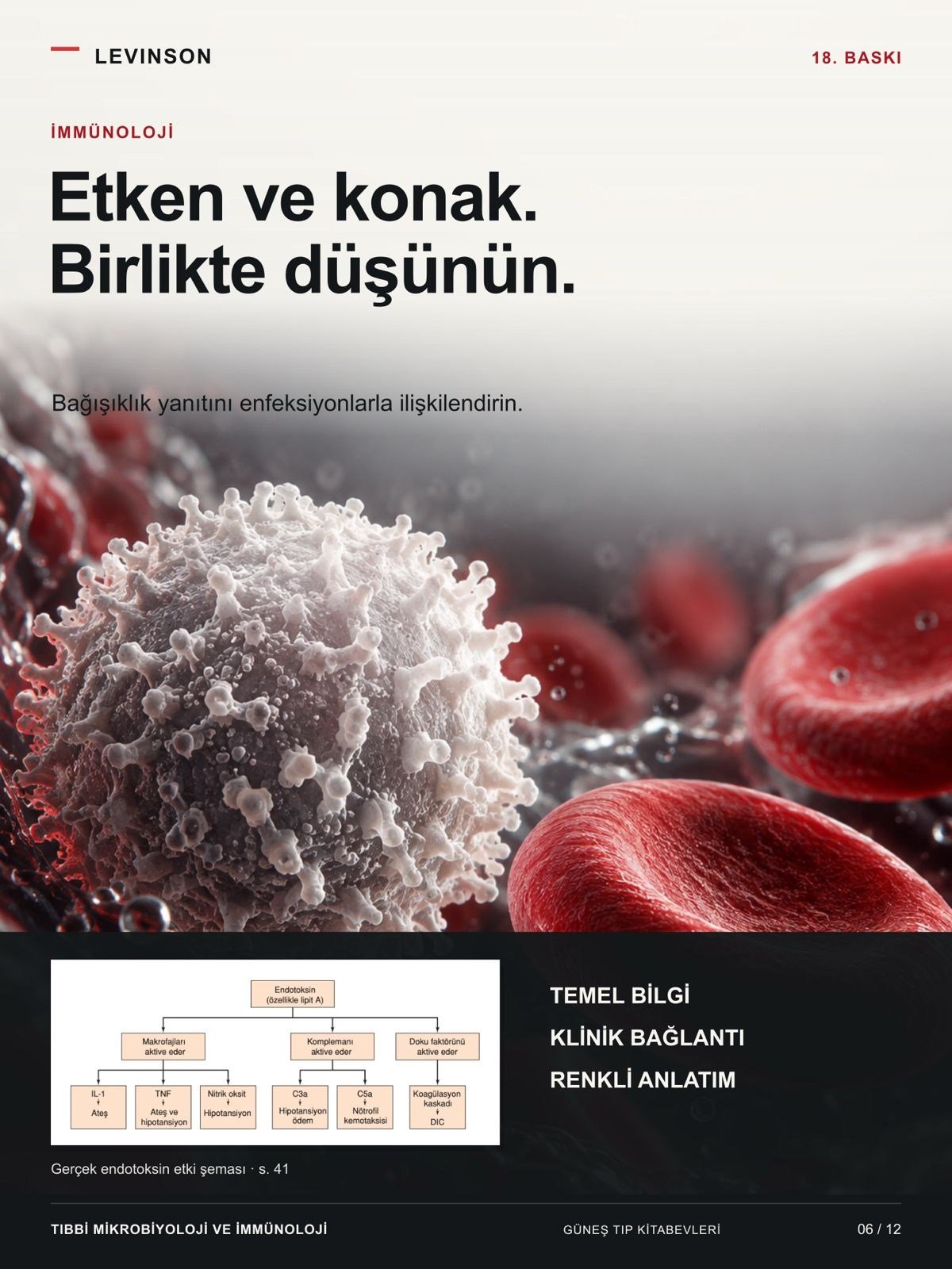 Levinson - Tıbbi Mikrobiyoloji ve İmmünoloji Klinik Enfeksiyon Hastalıkları Rehberi (KLİMUD yayınıdır. Klinik Mikrobiyoloji Uzmanlık Derneği)