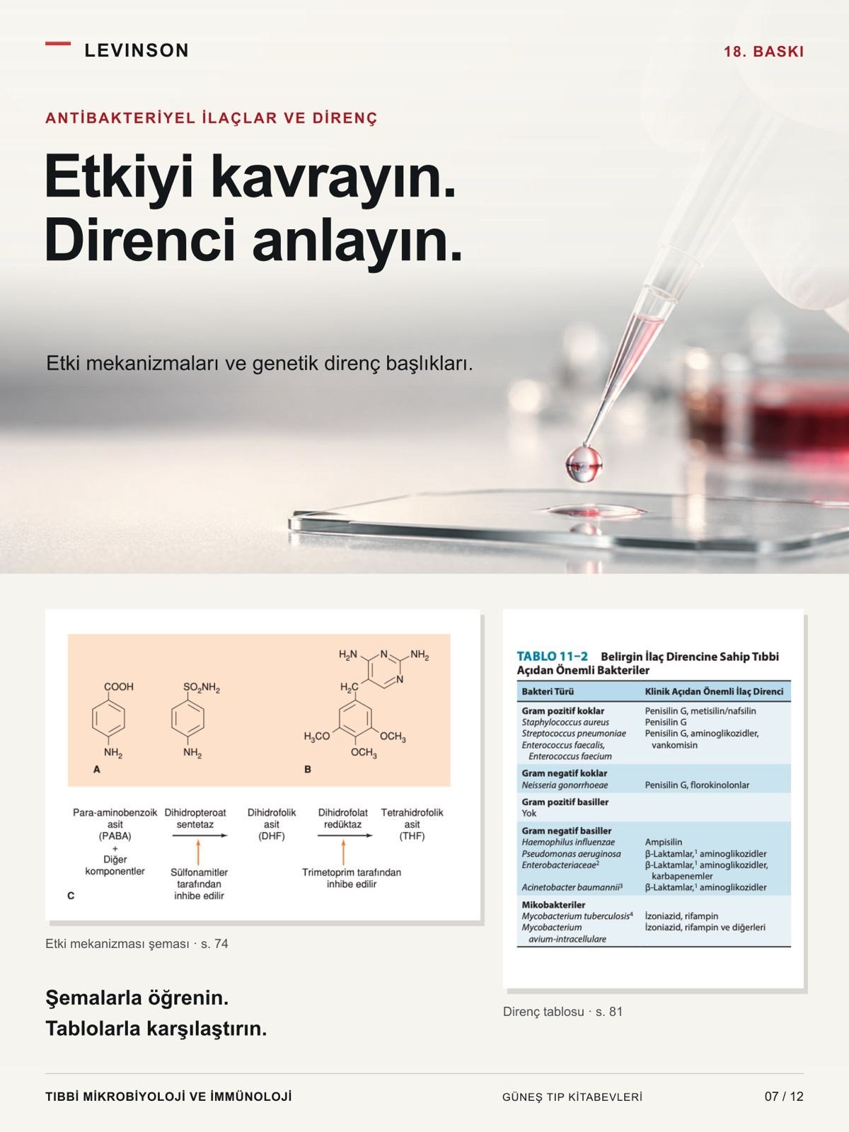Levinson - Tıbbi Mikrobiyoloji ve İmmünoloji Klinik Enfeksiyon Hastalıkları Rehberi (KLİMUD yayınıdır. Klinik Mikrobiyoloji Uzmanlık Derneği)