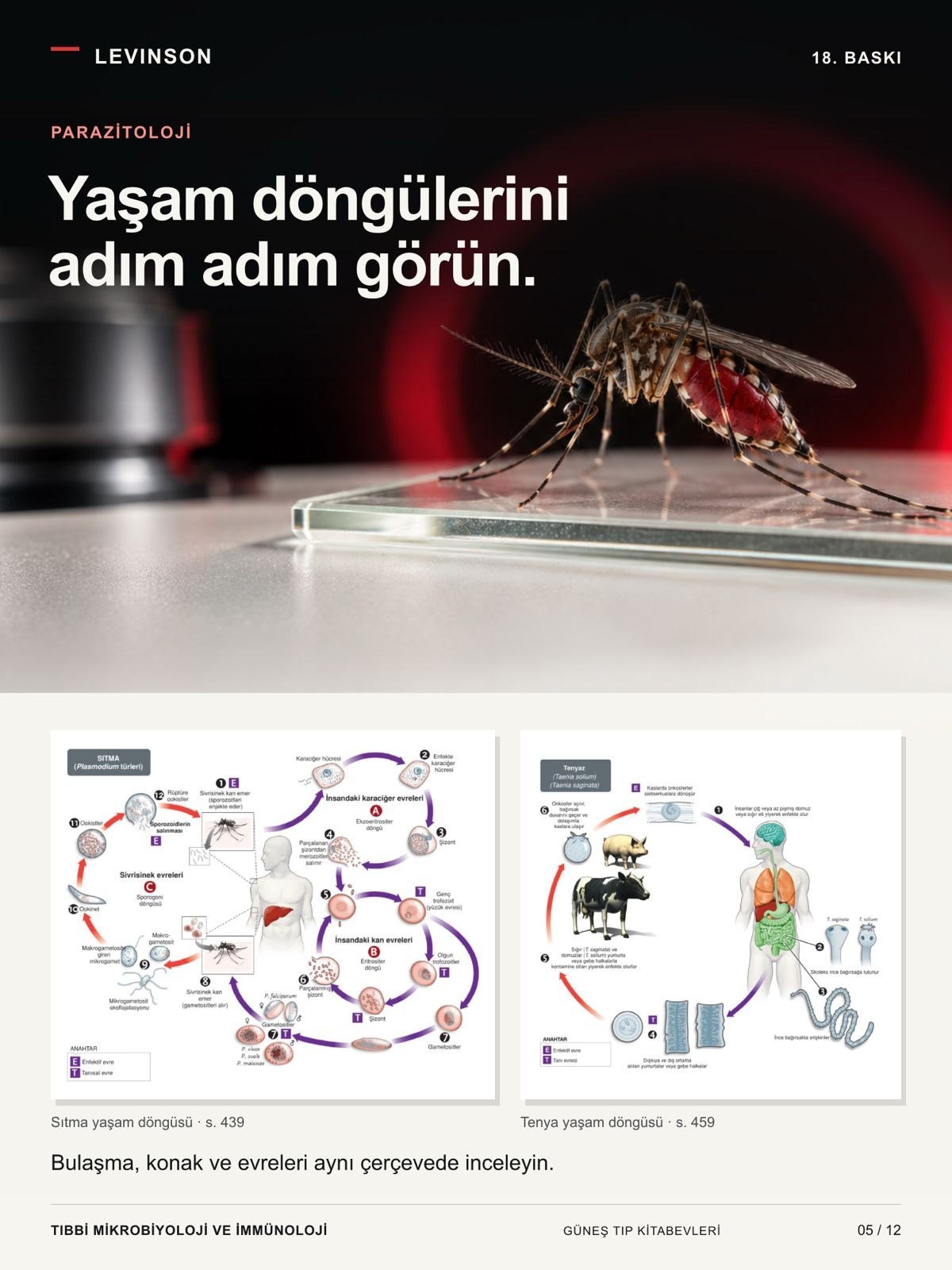 Levinson - Tıbbi Mikrobiyoloji ve İmmünoloji Klinik Enfeksiyon Hastalıkları Rehberi (KLİMUD yayınıdır. Klinik Mikrobiyoloji Uzmanlık Derneği)
