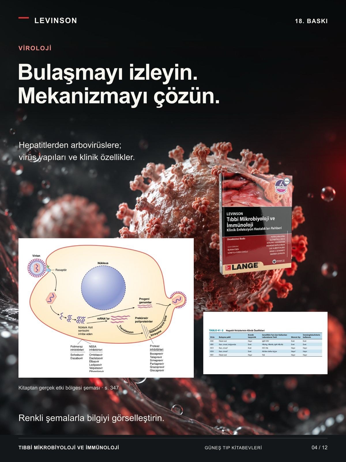 Levinson - Tıbbi Mikrobiyoloji ve İmmünoloji Klinik Enfeksiyon Hastalıkları Rehberi (KLİMUD yayınıdır. Klinik Mikrobiyoloji Uzmanlık Derneği)