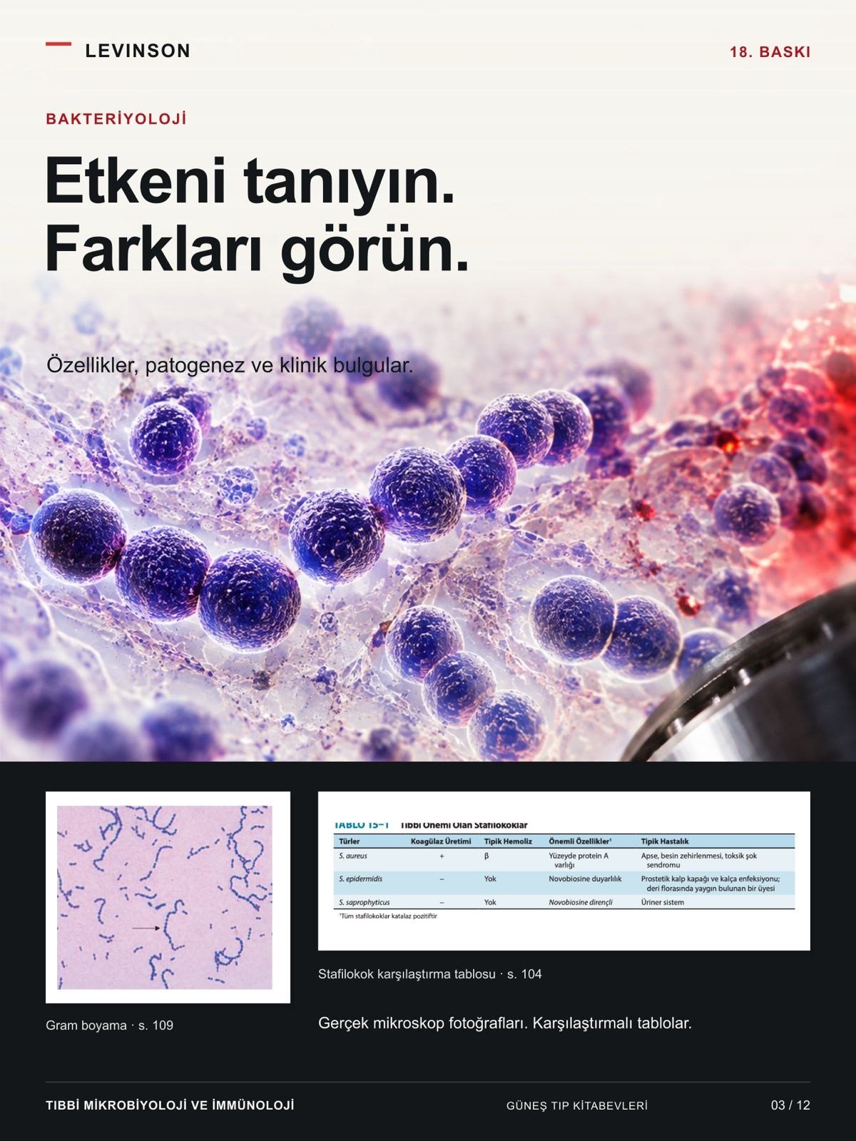 Levinson - Tıbbi Mikrobiyoloji ve İmmünoloji Klinik Enfeksiyon Hastalıkları Rehberi (KLİMUD yayınıdır. Klinik Mikrobiyoloji Uzmanlık Derneği)
