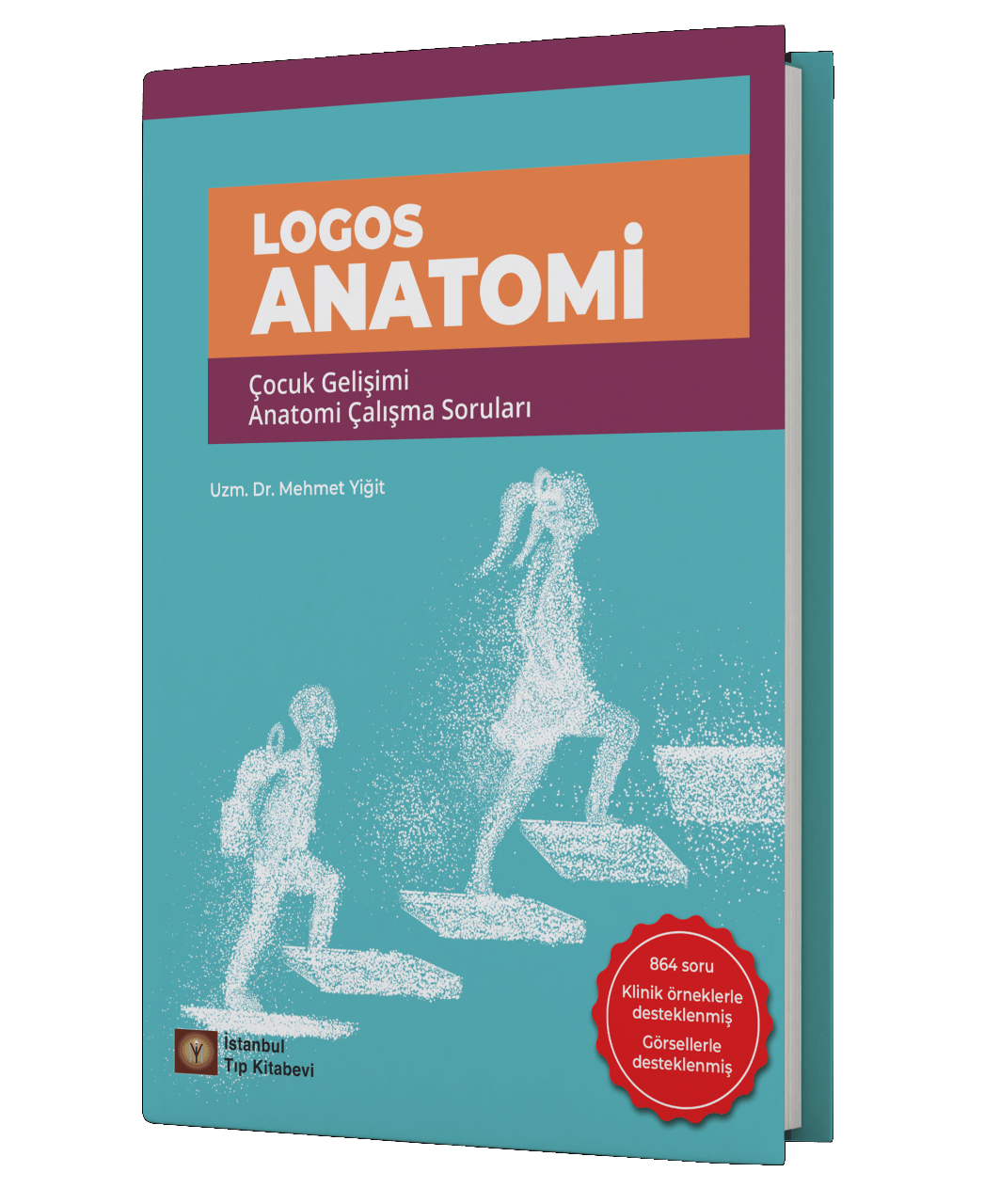 Logos Anatomi Çocuk Gelişimi Anatomi Çalışma Soruları
