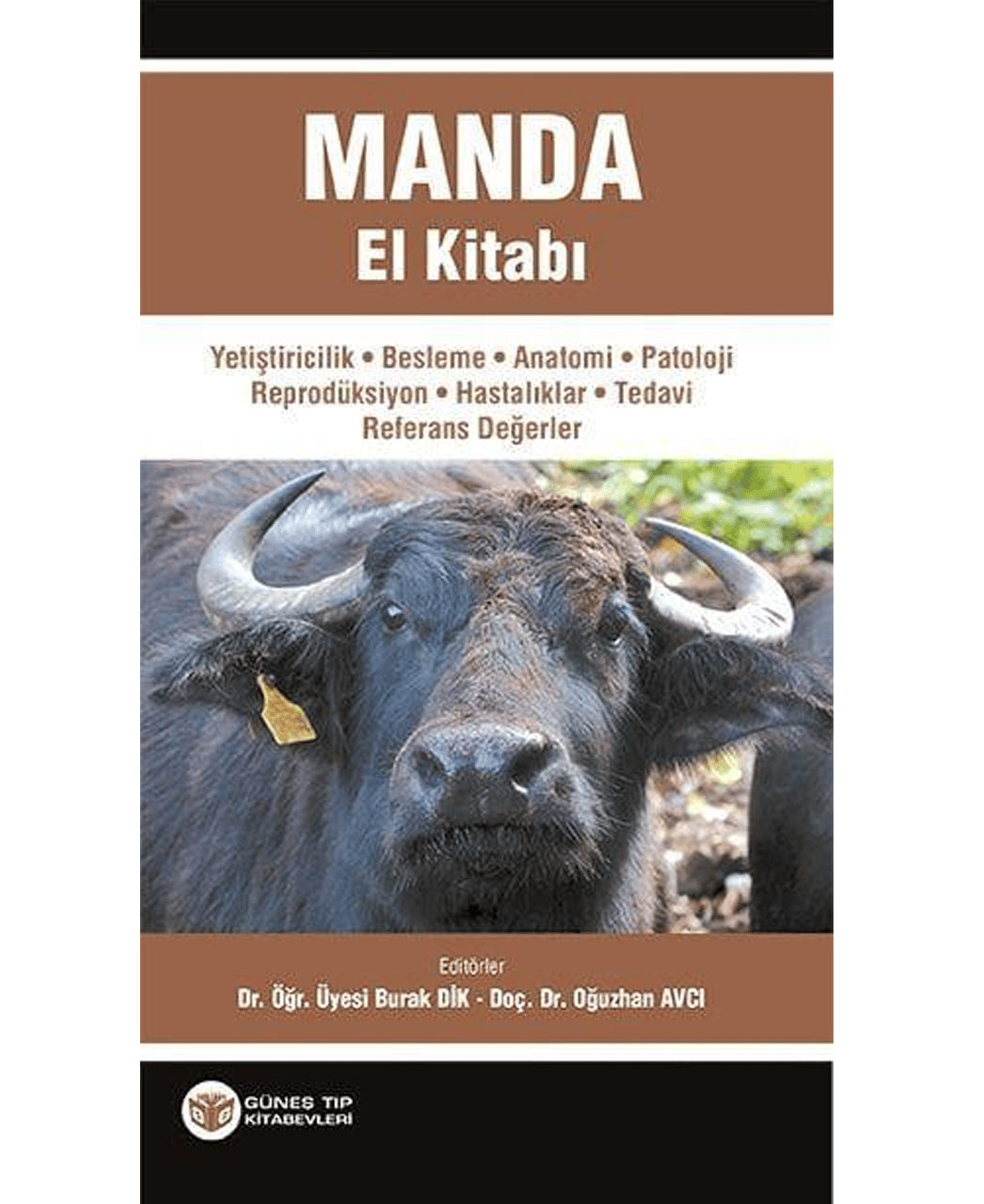 Manda El Kitabı