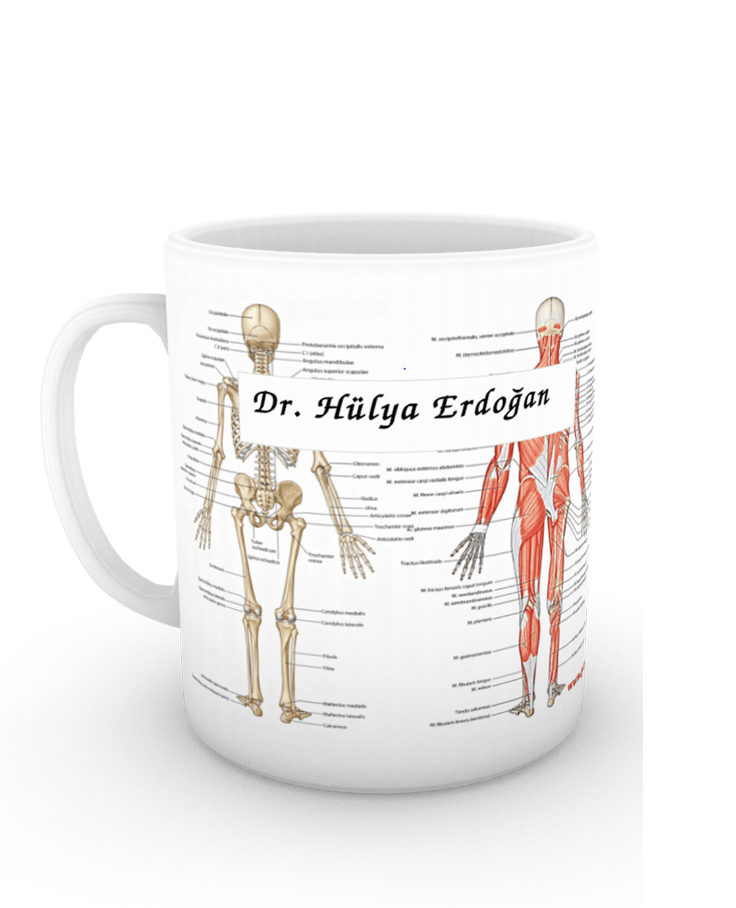 Muhteşem Fizyoterapi Seti (7 ÇOK SATAN BU SETTE)